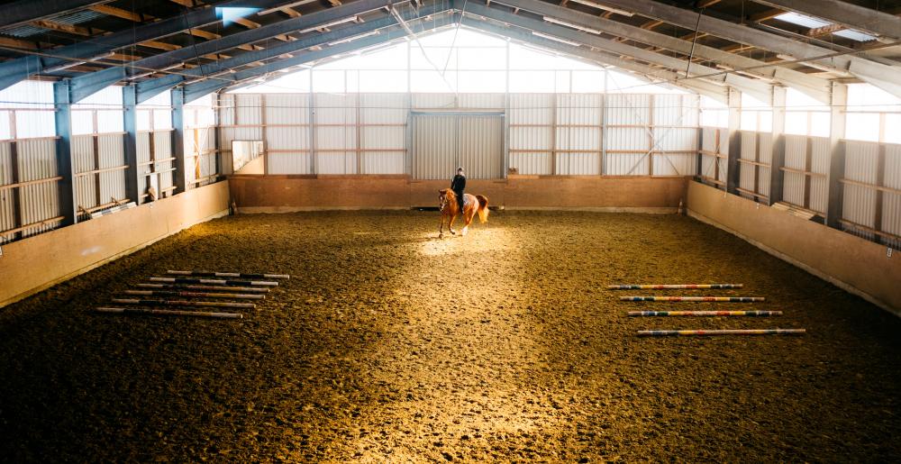 Indoors dressage training