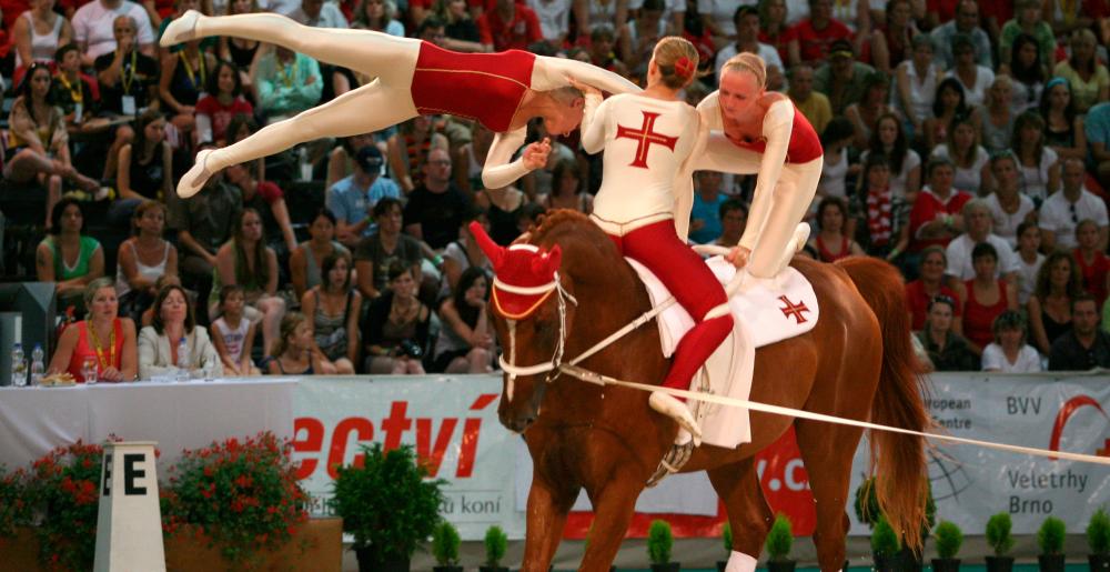 Un grupo en un concurso de acrobacias a caballo