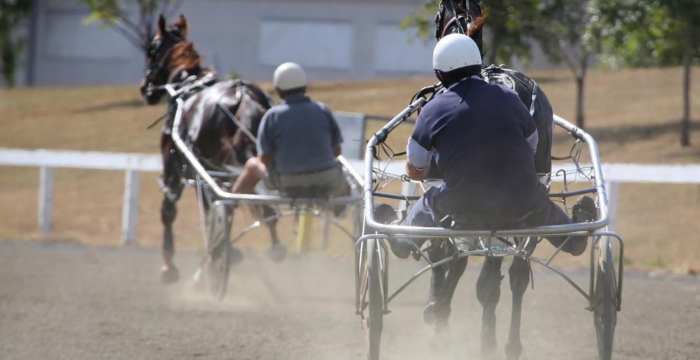 Concursantes en una carrera de arnés o trote