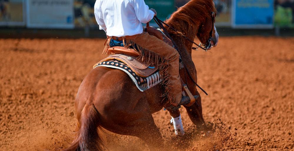 Un concurso de reining