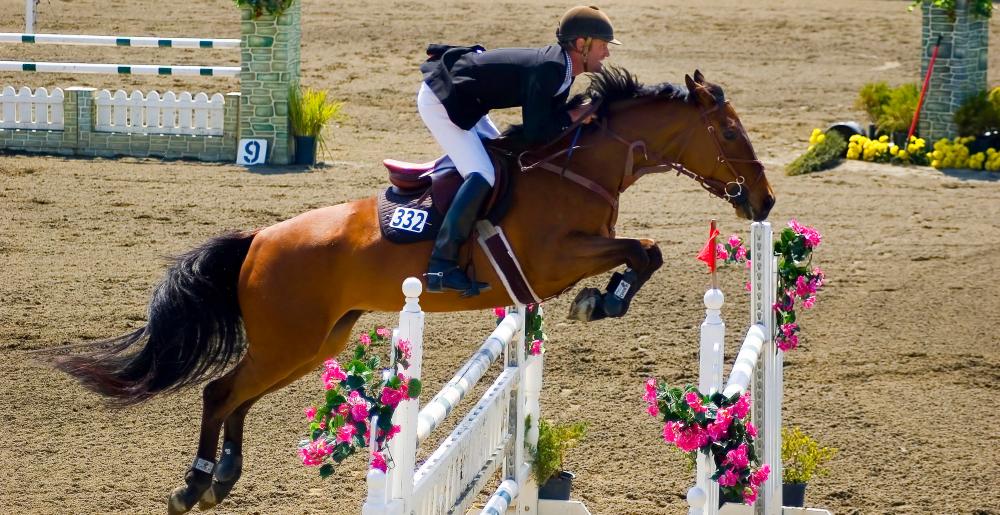 Un caballo de salto en un concurso