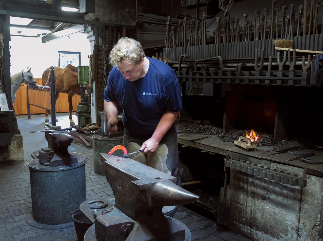 The German farrier Christoph Schweppe forging a horseshoe