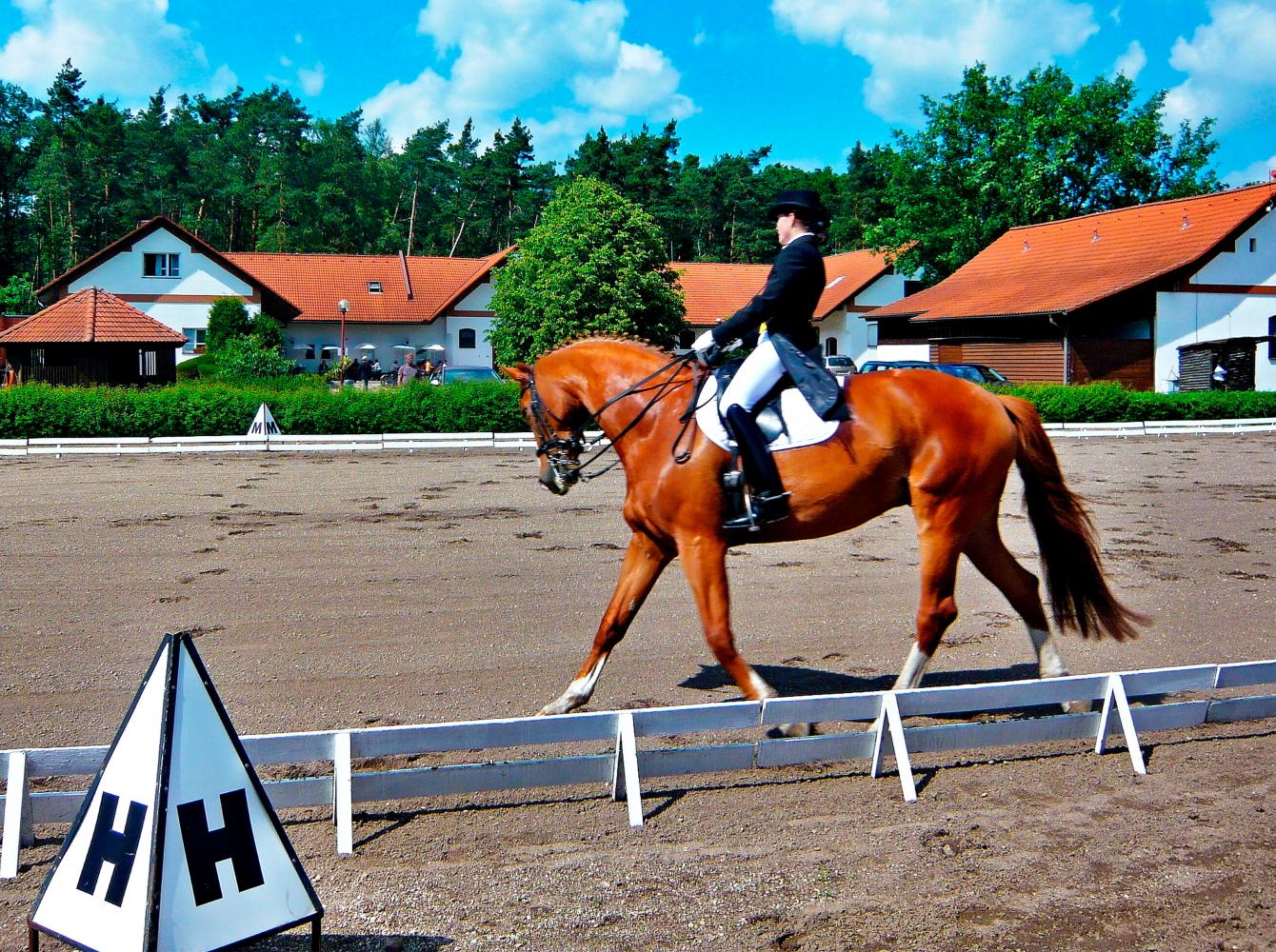 Outdoors dressage in Koleda, Czech Republic