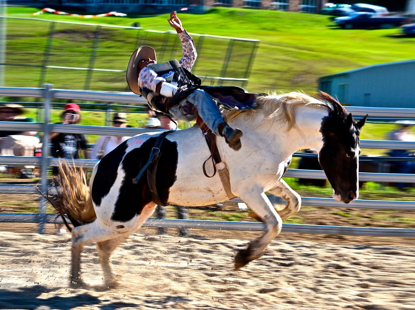 Bareback riding in a rodeo