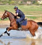 Rider and horse in the water during a Cross-country