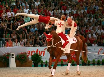 Un grupo en un concurso de acrobacias a caballo