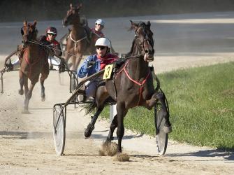 Concursantes en una carrera de arnés o trote