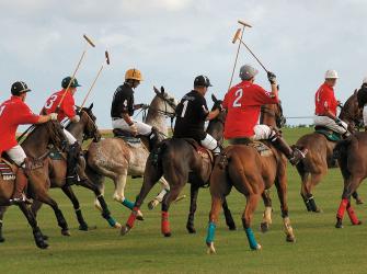 A polo contest